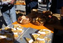 castagnata-oktober-2014-61.jpg